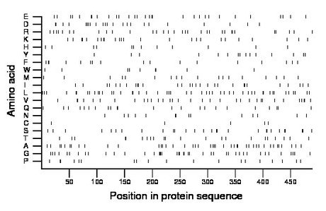 amino acid map