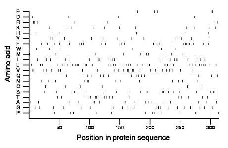 amino acid map