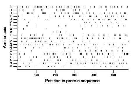 amino acid map