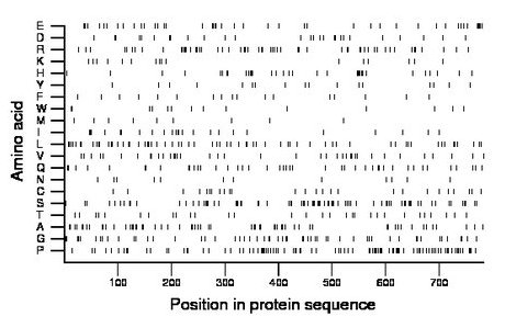 amino acid map