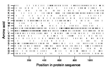 amino acid map