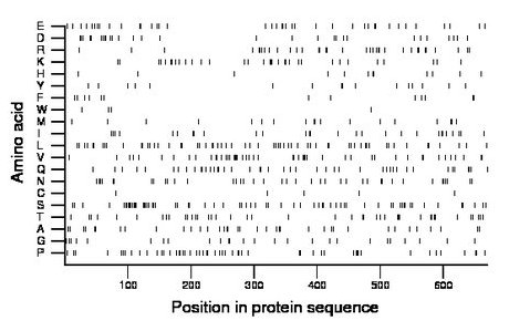 amino acid map