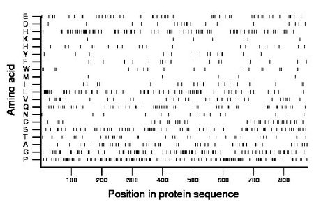 amino acid map