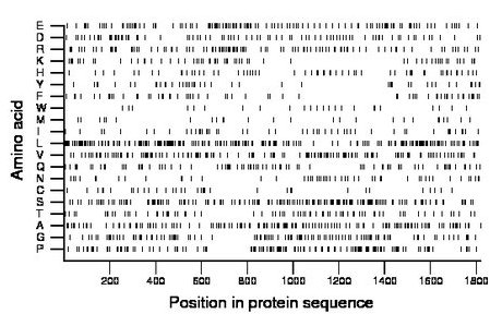 amino acid map