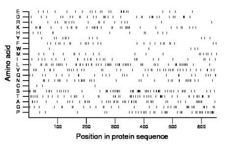 amino acid map