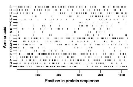 amino acid map