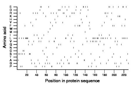 amino acid map