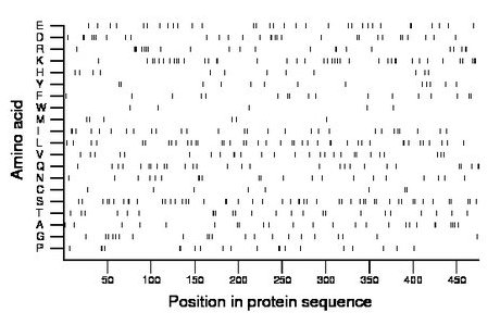 amino acid map