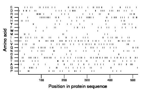 amino acid map