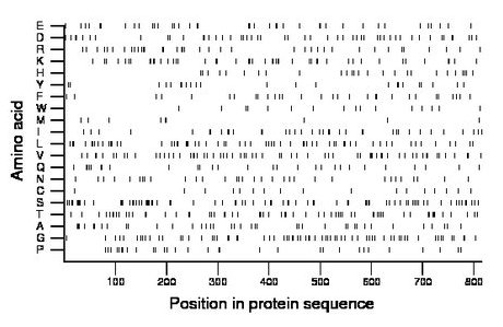 amino acid map