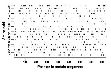 amino acid map