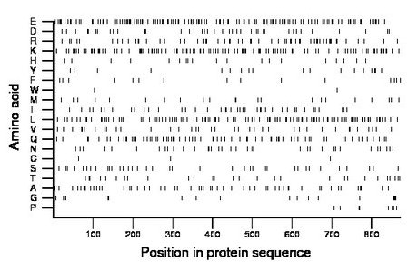 amino acid map