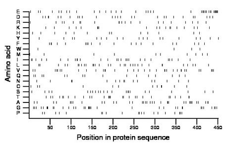 amino acid map