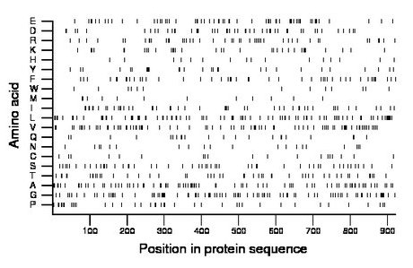 amino acid map