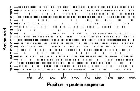 amino acid map