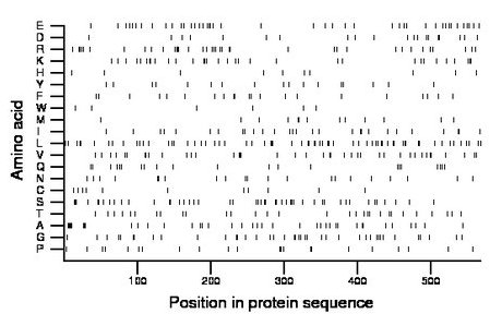 amino acid map