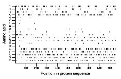 amino acid map