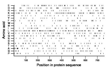 amino acid map