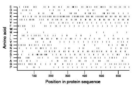 amino acid map