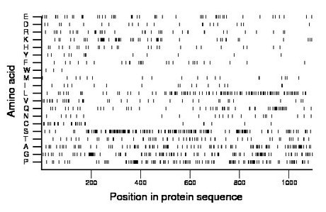 amino acid map