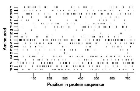 amino acid map