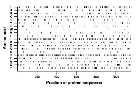 amino acid map