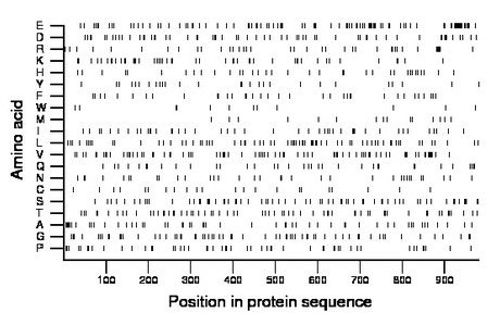 amino acid map