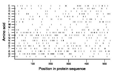 amino acid map