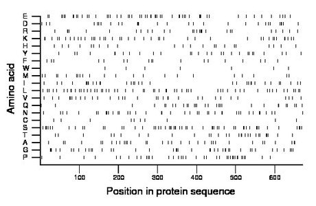 amino acid map