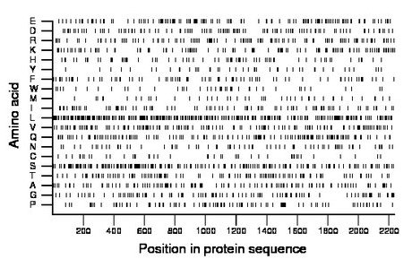 amino acid map