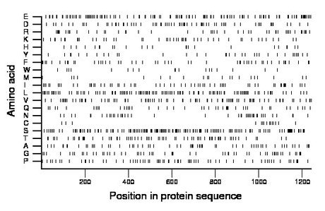 amino acid map