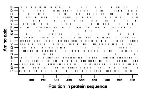 amino acid map