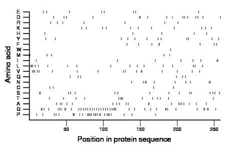 amino acid map