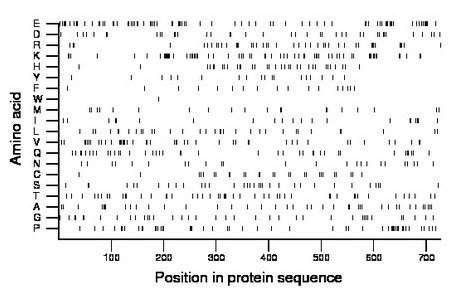 amino acid map