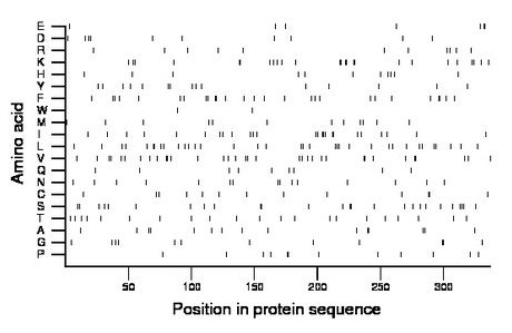 amino acid map