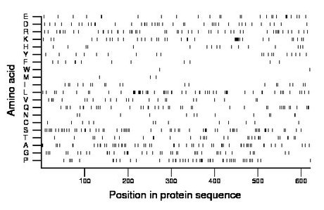 amino acid map