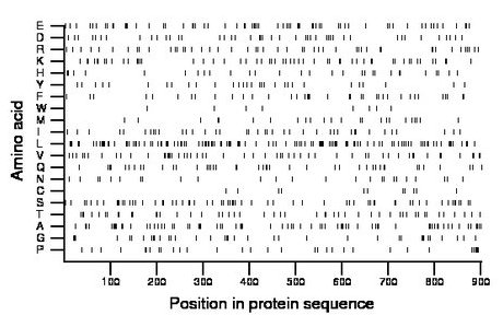 amino acid map