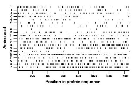 amino acid map