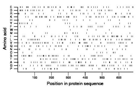 amino acid map