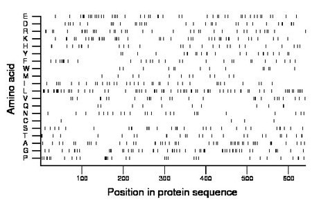 amino acid map