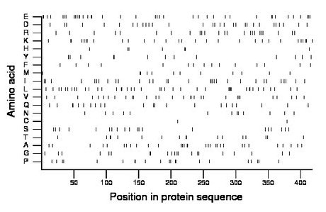 amino acid map