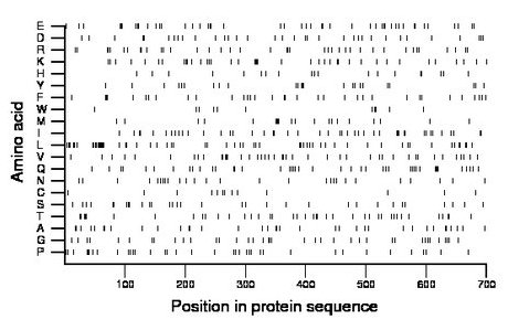 amino acid map