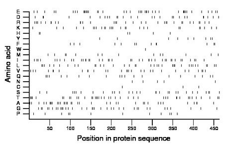 amino acid map