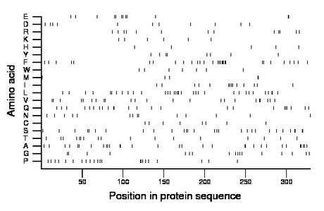 amino acid map