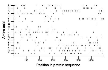 amino acid map