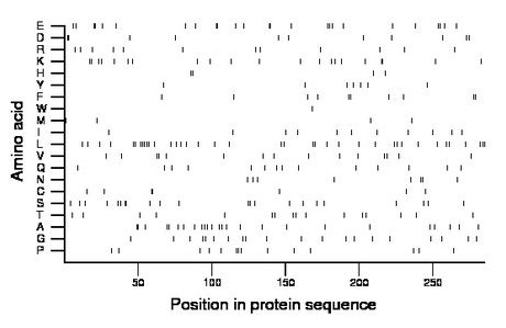 amino acid map