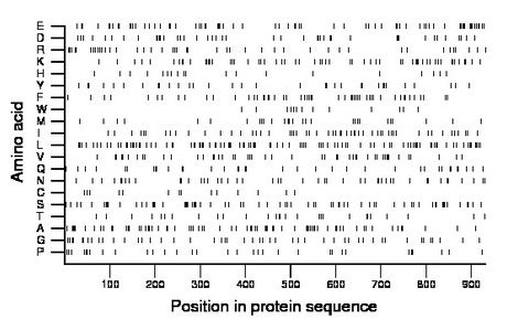 amino acid map