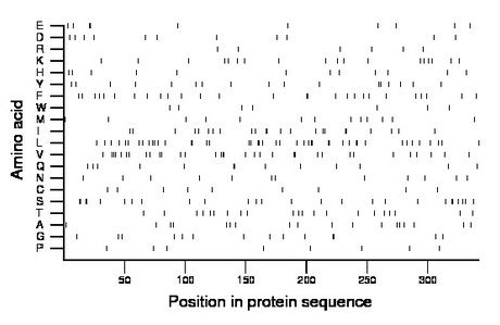 amino acid map