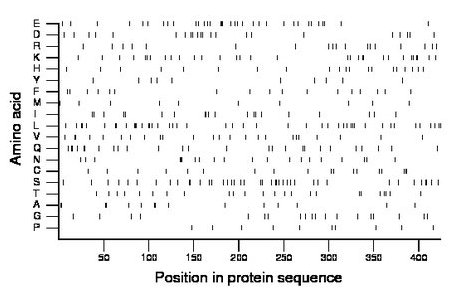 amino acid map