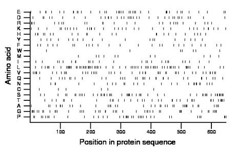 amino acid map